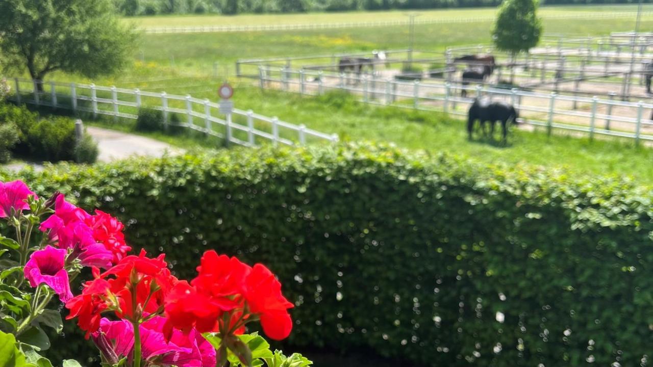 Villa Rosa-Panorama App Haslach Zewnętrze zdjęcie